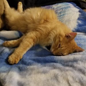 Meet your Posher, Kay